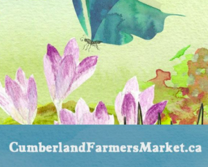 Cumberland Spring Market @ Ahmadiyya Community Centre | Ottawa | Ontario | Canada